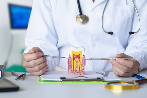 Best Emergency Dentist for Lost Fillings or Crowns in Newark, DE